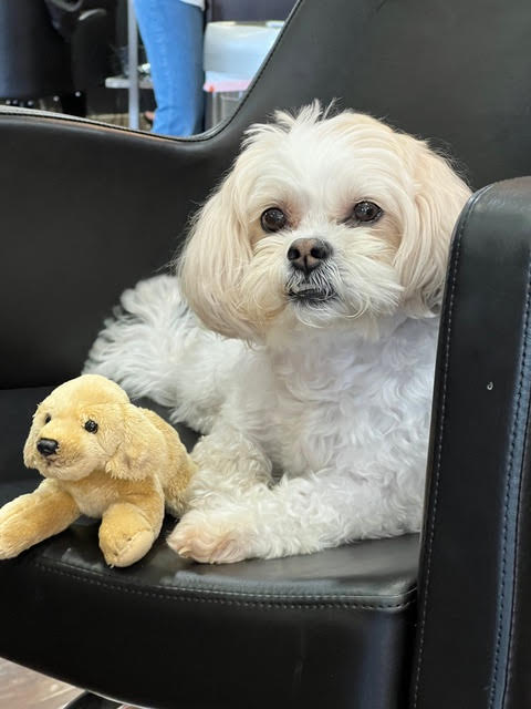 2019 Cryptocurrency Investment Guide